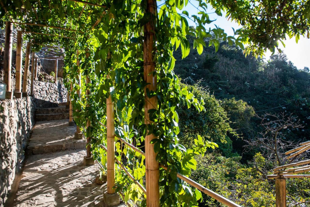 El Picnic Atitlan 호텔 Tzununá 외부 사진